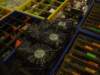 dsc02059_small.jpg
