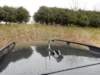 dscn1938_small.jpg