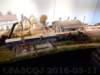 dscn1790_small.jpg