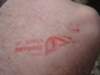 dsc00471_small.jpg