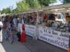 dsc00298_small.jpg