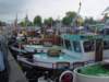 dsc01170_small.jpg
