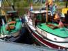 dscn2205_small.jpg