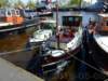 dscn2212_small.jpg