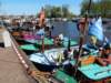 dscn2221_small.jpg