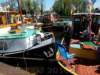 dscn2223_small.jpg