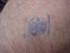 dsc00225_small.jpg