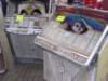 dsc01084_small.jpg