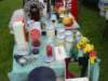 dsc01094_small.jpg