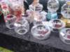 dsc01095_small.jpg