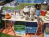 dsc01119_small.jpg