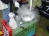 dsc01129_small.jpg