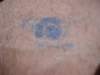 dsc01137_small.jpg