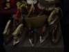 Photo Number 14