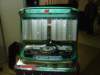 dsc06317_small.jpg