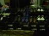 dsc00607_small.jpg