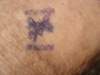 dsc00284_small.jpg