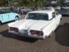 dsc00288_small.jpg
